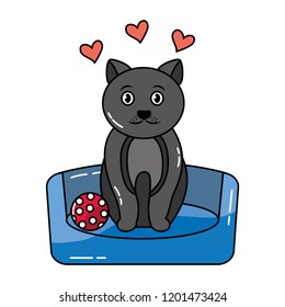cute pet cat sitting in bed with ball
