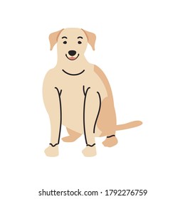 cute pet dog on white background vector illustration design