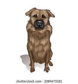 cute pet dog vector drawing