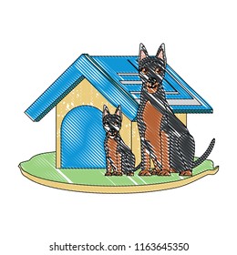 cute pet house