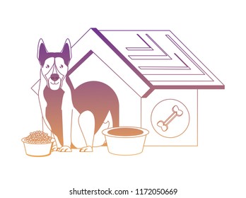 cute pet house