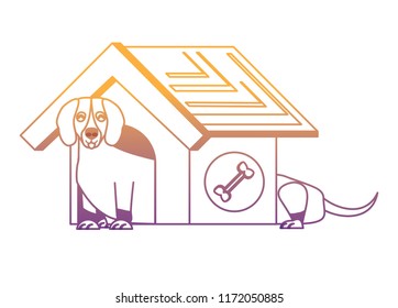 cute pet house