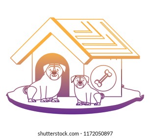 cute pet house