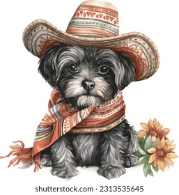 cute pet, lovely animal, costume, Mexican clothes 