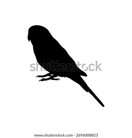 Cute pet parakeet silhouette vector flat illustration design.