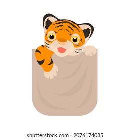 Cute pet tiger in the pocket.