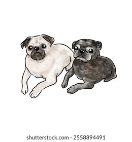 Cute pet watercolor style illustration