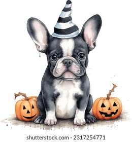 Cute pet wearing a beautiful Halloween costume.