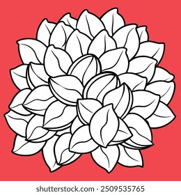 cute petals with colorful background
