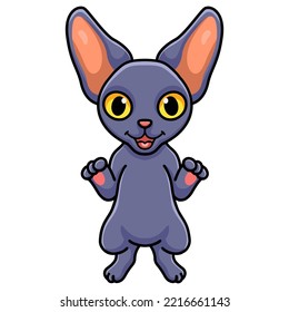 Cute peterbald cat cartoon standing