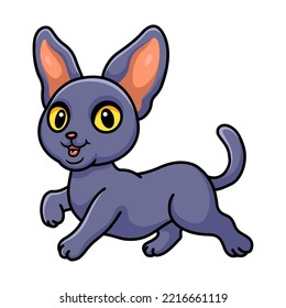 Cute peterbald cat cartoon walking