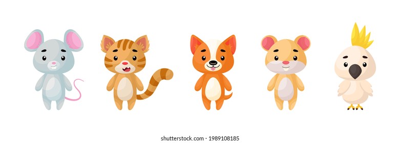 Cute pets animals set. Collection funny animals characters for kids cards, baby shower, birthday invitation, house interior. Bright colored childish vector illustration.