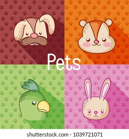 Cute pets cartoons