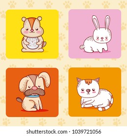 Cute pets collection