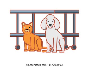 cute pets design