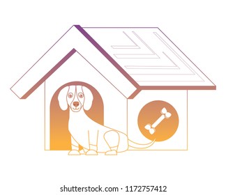 cute pets design
