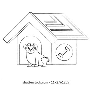 cute pets design
