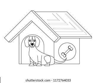 cute pets design