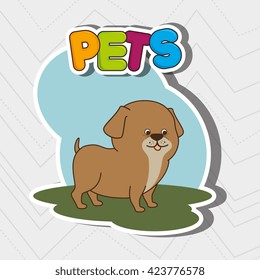 cute pets design 