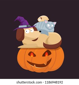 Cute pets, dog, cat in a witch hat sitting on a Halloween pumpkin