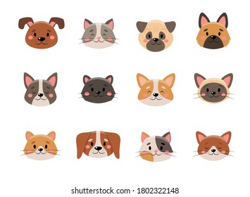 Cute pets face collection, isolated on white background