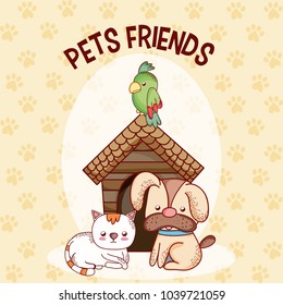 Cute pets friends