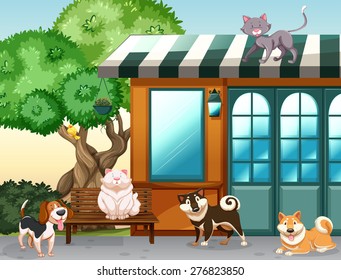 Cute pets outside the house