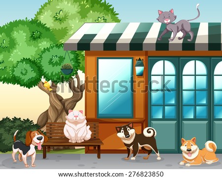 Similar – Image, Stock Photo cat Living or residing