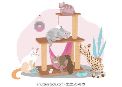 Cute pets sitting concept background. Cats are sitting on couch in living room, relaxing or playing in cozy room. Domestic animals care. Vector illustration in flat cartoon design