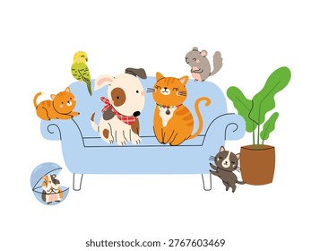 Cute pets sitting on sofa. Cat, dog and small animals together. Cozy home scene with domestic animal. Flat vector illustration.