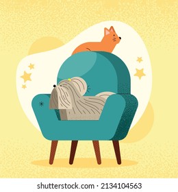 cute pets in sofa characters