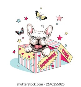 Cute picture with bright box, butterflies and french bulldog puppy. Surprise time  illustration. Stylish composition for printing on any surface