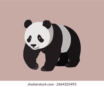 It’s a cute picture of a panda. The panda is black and white. The background is a light pink color