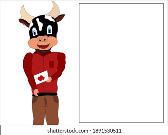 Cute picture of a young bull. The bull holds a valentine in his hands. Copspace. Valentine's Day. Holidays and religion.