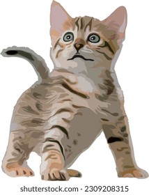 Cute, piebald, fluffy kitten that looks up