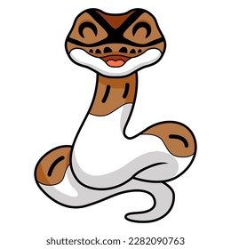 Cute pied ball python cartoon