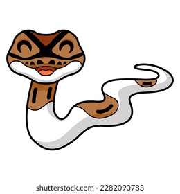 Cute pied ball python cartoon