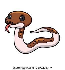 Cute pied reticulated python cartoon