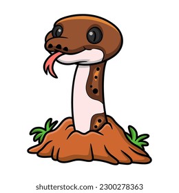 Cute pied reticulated python cartoon out from hole
