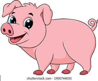 Cute Pig animal cartoon illustration 