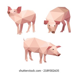 Cute Pig Animal Collection polygonal low poly. Pig Icon set in abstract. Vector of livestock animal pig set.