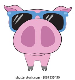 Cute pig with big nose and sunglasses with blue rim on white background