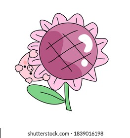 Cute pig with big sunflower