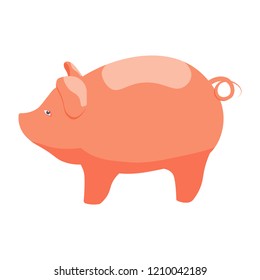 Cute pig cartoon