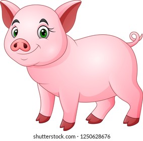 Cute pig cartoon