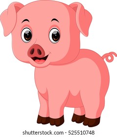 Cute pig cartoon