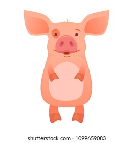 Cute pig cartoon. Funny pig vector illustration