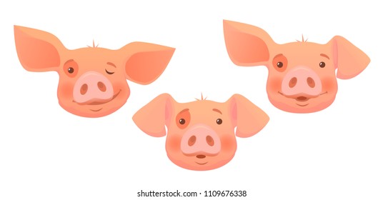 Cute pig cartoon. Pig head isolated. Vector illustration set