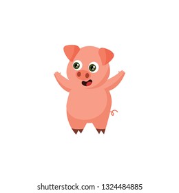 cute pig cartoon icon on a white background