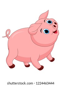 Cute pig cartoon isolated on white background